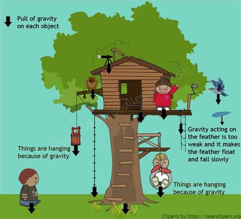 Gravity for Kids | What is Gravity? | Pull of Gravity | Gravitational Pull | Gravity, Gravity ...