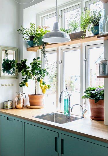 Window Plant Shelf Ideas and Inspiration | Hunker