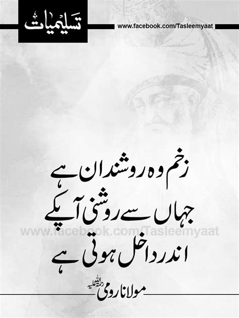 Maulana Rumi Quote in Urdu with Image by Tasleem Raza - Tasleemyaat