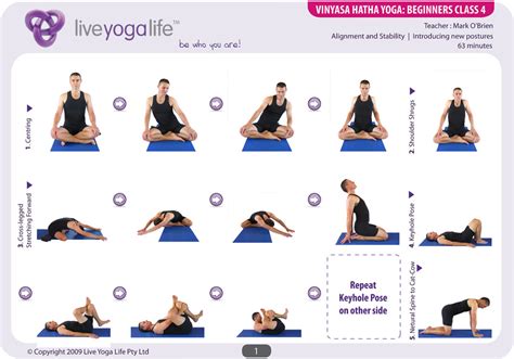 Vinyasa Hatha Beginners Complete Set (Classes 1 to 6) | Live Yoga Life