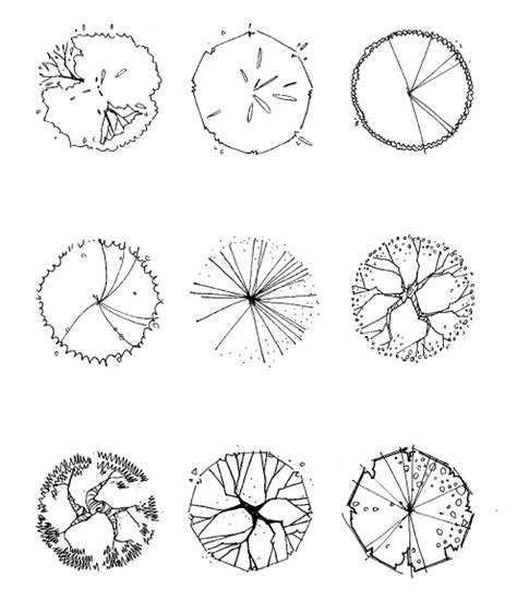 11 Plan View Tree Graphics Images - Photoshop Trees Plan View Graphic, Architectural Trees Birds ...