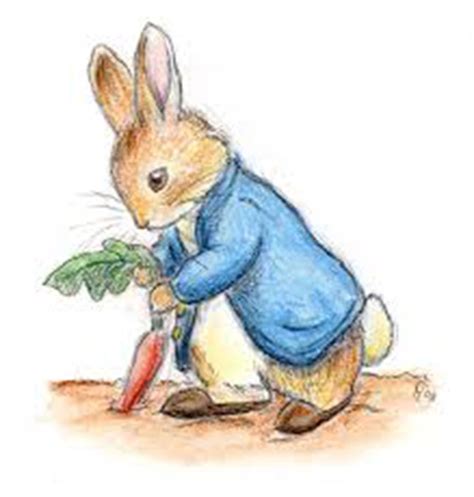 Peter Rabbit Drawing at GetDrawings | Free download