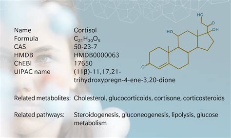 Metabolite of the month – Cortisol - biocrates life sciences ag