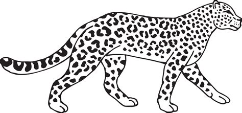 Leopard Outline Vector Art, Icons, and Graphics for Free Download