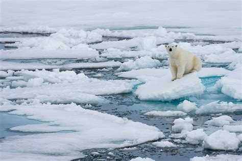 Arctic sea ice shrinking to lowest levels ever for third straight year