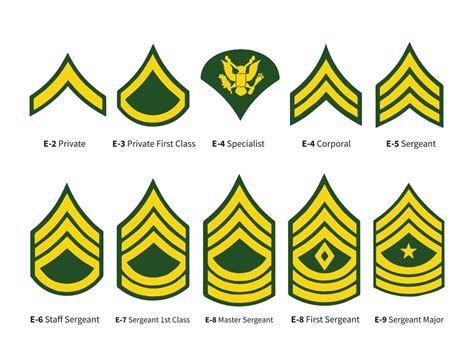 Army Rankings Enlisted at gencoltonblog Blog