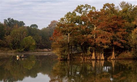 Celebrate the outdoors at Arkansas State Parks | Arkansas.com