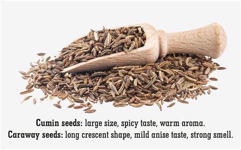 Top 9 Caraway Seed Alternatives You Might Have in Kitchen