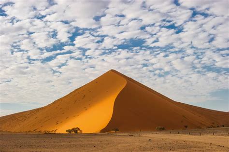 Robben Island - African Elegance Safaris Namibia