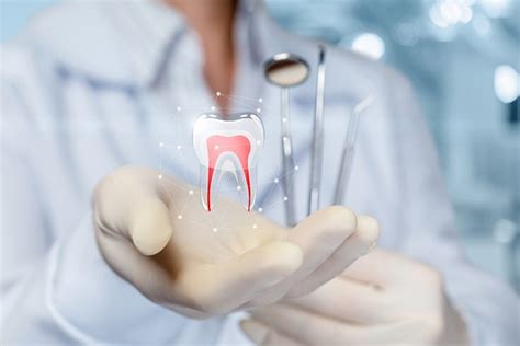 What Is an Apicoectomy Procedure? - Santa Rosa Endodontics Santa Rosa, CA 95401 | (707) 706-2143