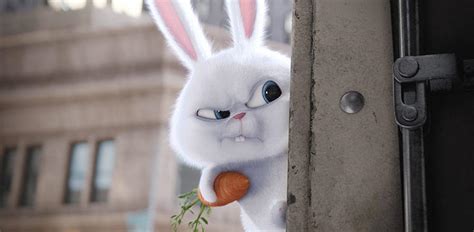 Meet Kevin Hart's Hyper Bunny in a New Trailer for 'The Secret Life of Pets' | Fandango