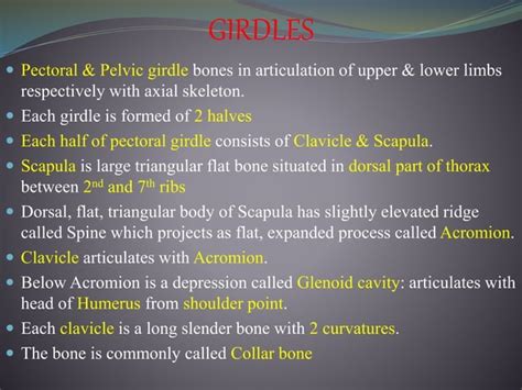 Locomotion and movement In Humans | PPT