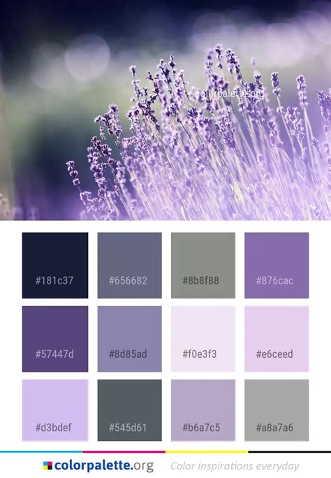 Lavender Cream Color Palette Lavender Color Palette L - vrogue.co