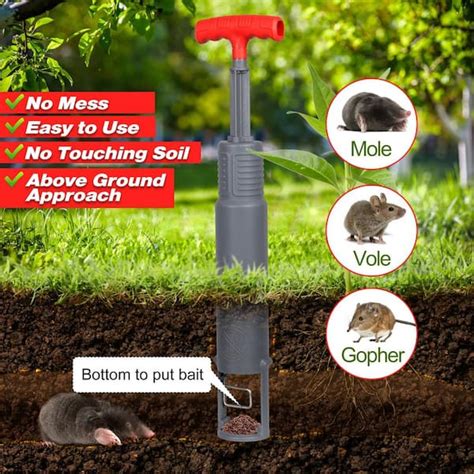 How to Trap Gophers And Moles | Step by Step Guide (2024)