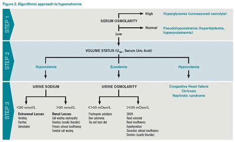 How Should Hyponatremia Be Evaluated and Managed? - Page 2 of 4 - The ...