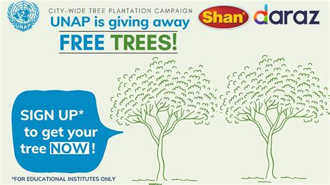 Tree Plantation Campaign – UNAP