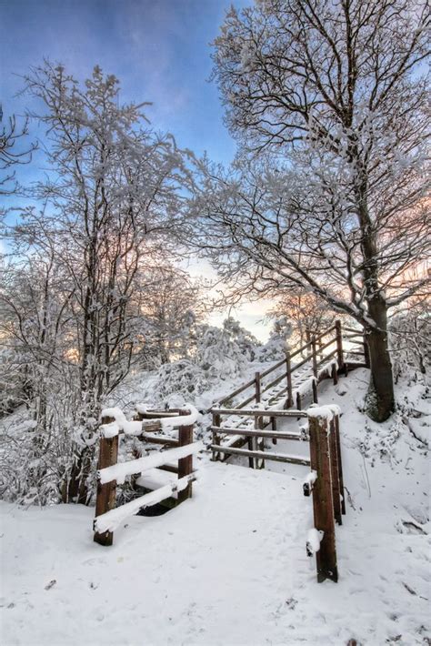 The Winter Walkway (3) | Winter landscape, Winter scenery, Winter pictures