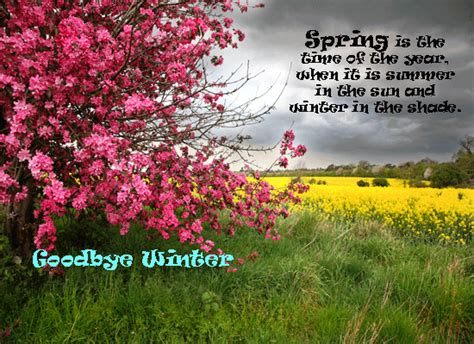 Hello Spring! Free Flowers eCards, Greeting Cards | 123 Greetings