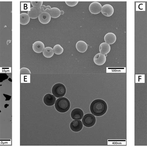 SEM (A-C) and TEM (D-F) images of enzymatic hydrolysis lignin (EHL),... | Download Scientific ...