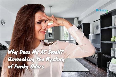 Why Does My AC Smell? Unmasking the Mystery of Funky Odors | Air ...