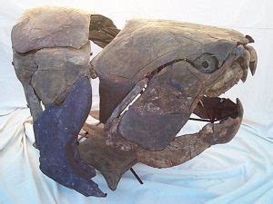 Our Jaw Evolved From Placodermi: A 423-Million-Year-Old Armored Fish - MessageToEagle.com