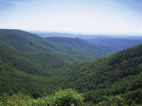 Blue Ridge | Appalachian Trail, Shenandoah, Wildlife | Britannica