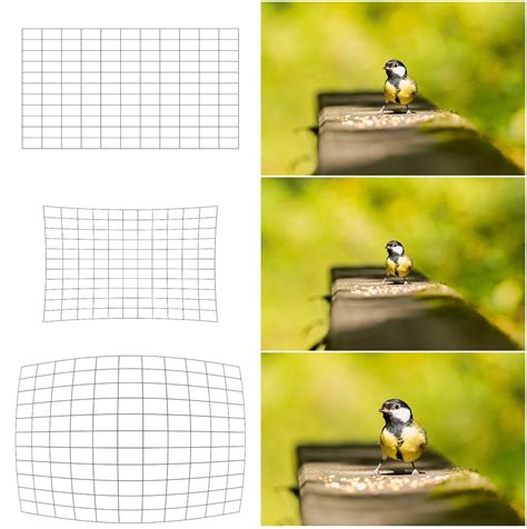 What is Lens Barrel Distortion? (how to correct it in your photos)