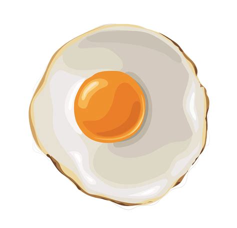 Fried Egg vector 533029 Vector Art at Vecteezy