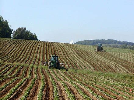 Monoculture - Wikipedia