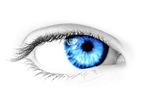 Eye Transparent Png Image Transparent HQ PNG Download | FreePNGimg