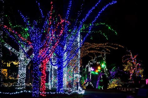 WildLights - Woodland Park Zoo Seattle WA | Zoo lights, Seattle ...