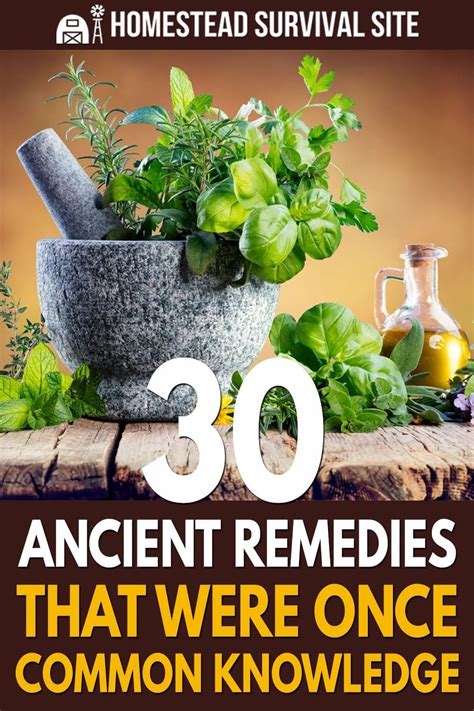 30 ancient remedies that were once common knowledge – Artofit