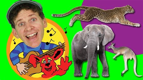 Learn About Wild Animals Song for Kids | Sing Along with Matt - YouTube