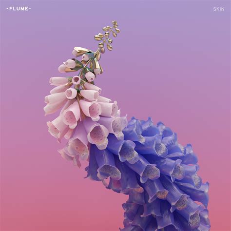 Album Review: Flume - Skin