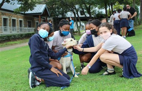 Reddam House Helderfontein gets a friendly visit from SA Guide-Dogs ...