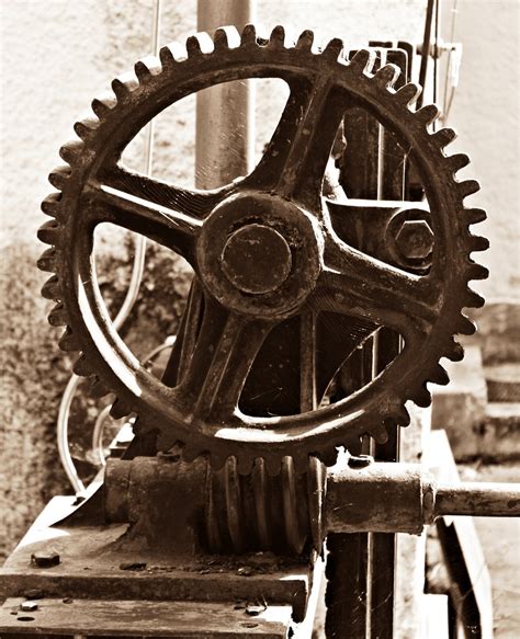 Free Images : technology, wheel, leaf, flower, rust, direction, drive, metal, soil, monochrome ...