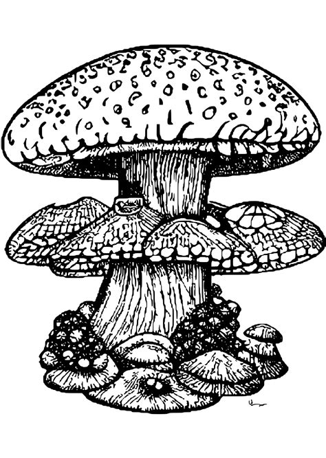 3D Trippy Mushroom Coloring Page · Creative Fabrica