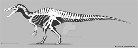 Baryonyx walkeri skeletal - old by AlternatePrehistory | Prehistoric ...