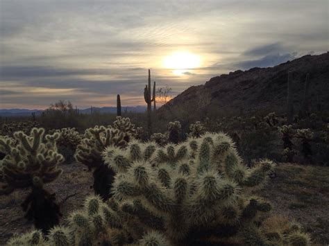 Estrella Mountain Regional Park - Parks - Goodyear, AZ - Reviews - Photos - Yelp