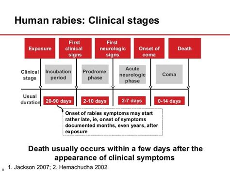 Stages Of Rabies In Humans