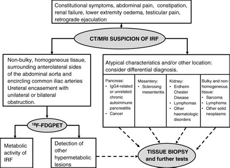 Diagnostic flow-chart for idiopathic retroperitoneal fibrosis | Download Scientific Diagram