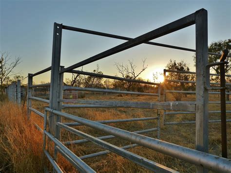 Musing Round Australia: Cattle Yards, Burke Development Rd 18 August 2015