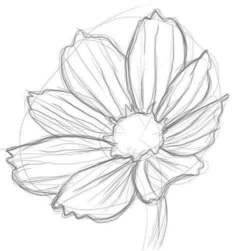 REALISTIC LINE DRAWINGS - Google Search | Realistic flower drawing, Drawings, Colorful drawings