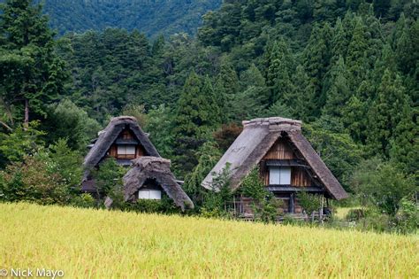 Gassho Houses In The Valley | Shirakawa, Chubu, Japan (2012) | Nick Mayo Photography