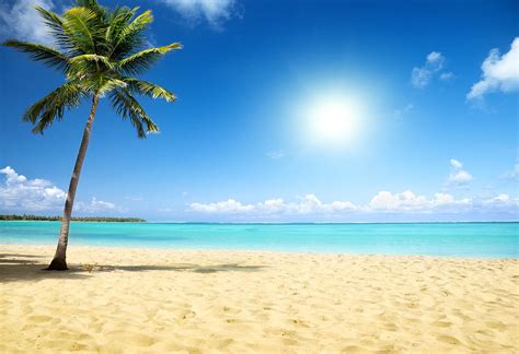 Hawaii Luau Photography Backdrops Tropical Sea Beach Background Backdr ...