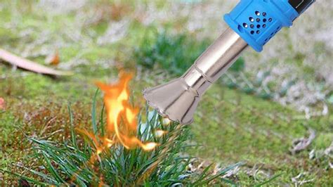 Maintain your lawn with this multifunctional flame weeder for 21% off | Mashable