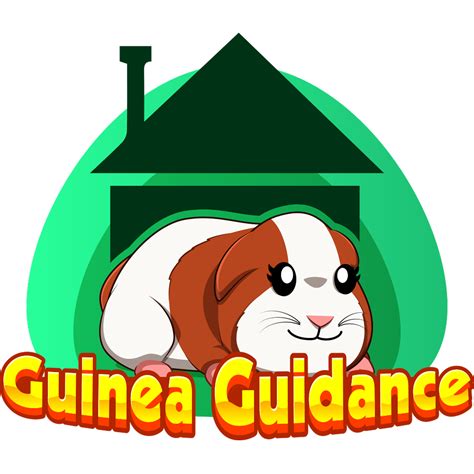What is the guinea pig lifespan? — Guinea Guidance