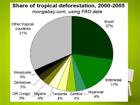 Deforestation indonesia