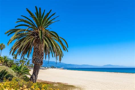 13 Best Beaches in Santa Barbara | Celebrity Cruises