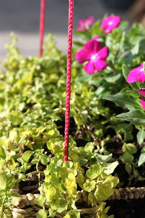 Hanging Basket Garden DIY - A Beautiful Mess